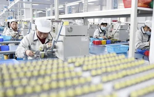 小微企業成留抵退稅重點，旅游業務迎政策春風