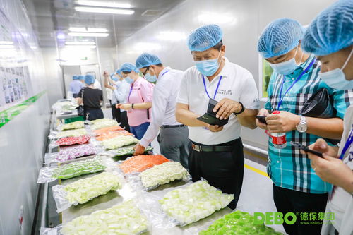 德保集團榮膺“校園餐優秀服務商”稱號，創新外賣遞送服務引領行業標準